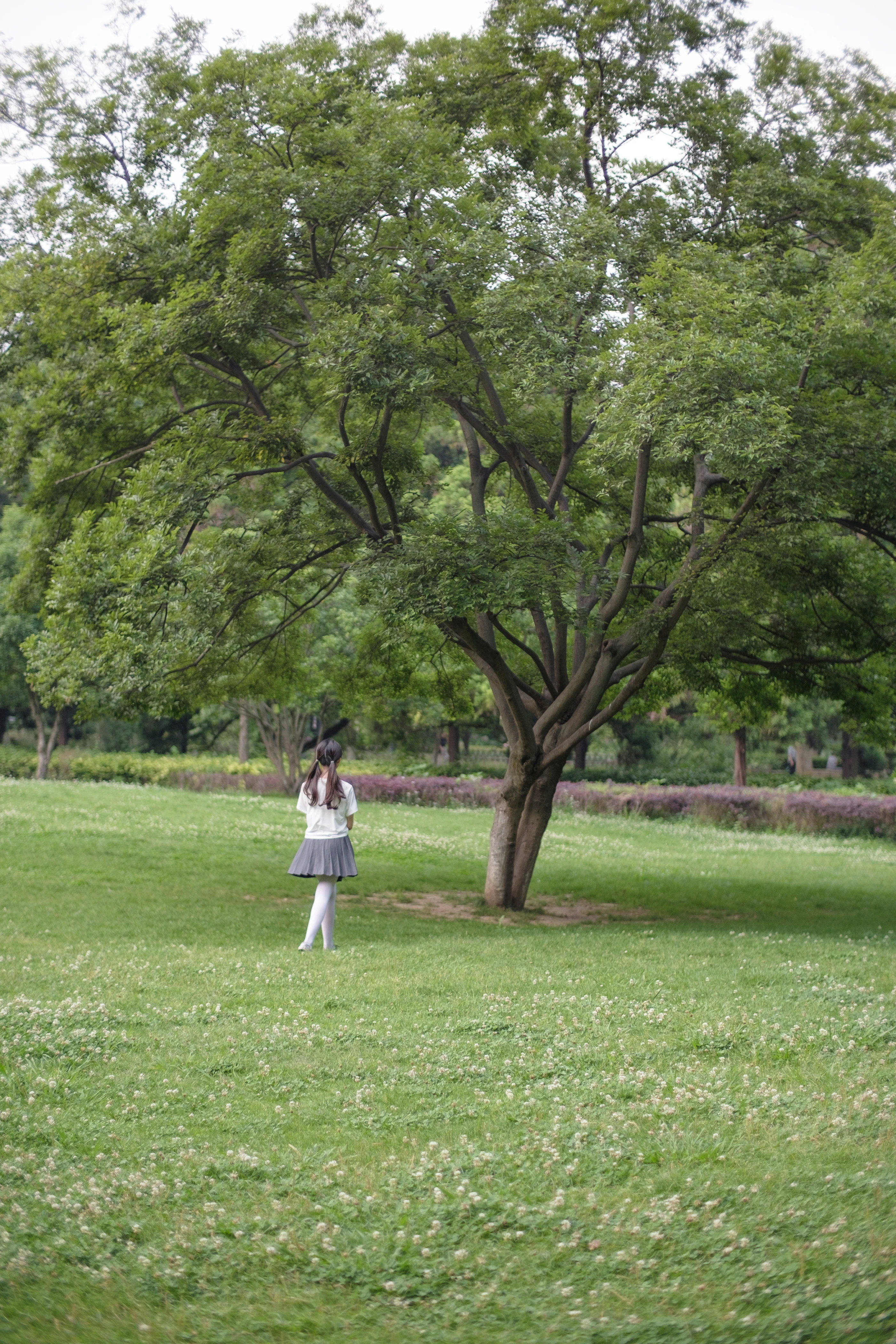 森萝财团 [R15-014] 白丝妹妹游园 [99P]插图3
